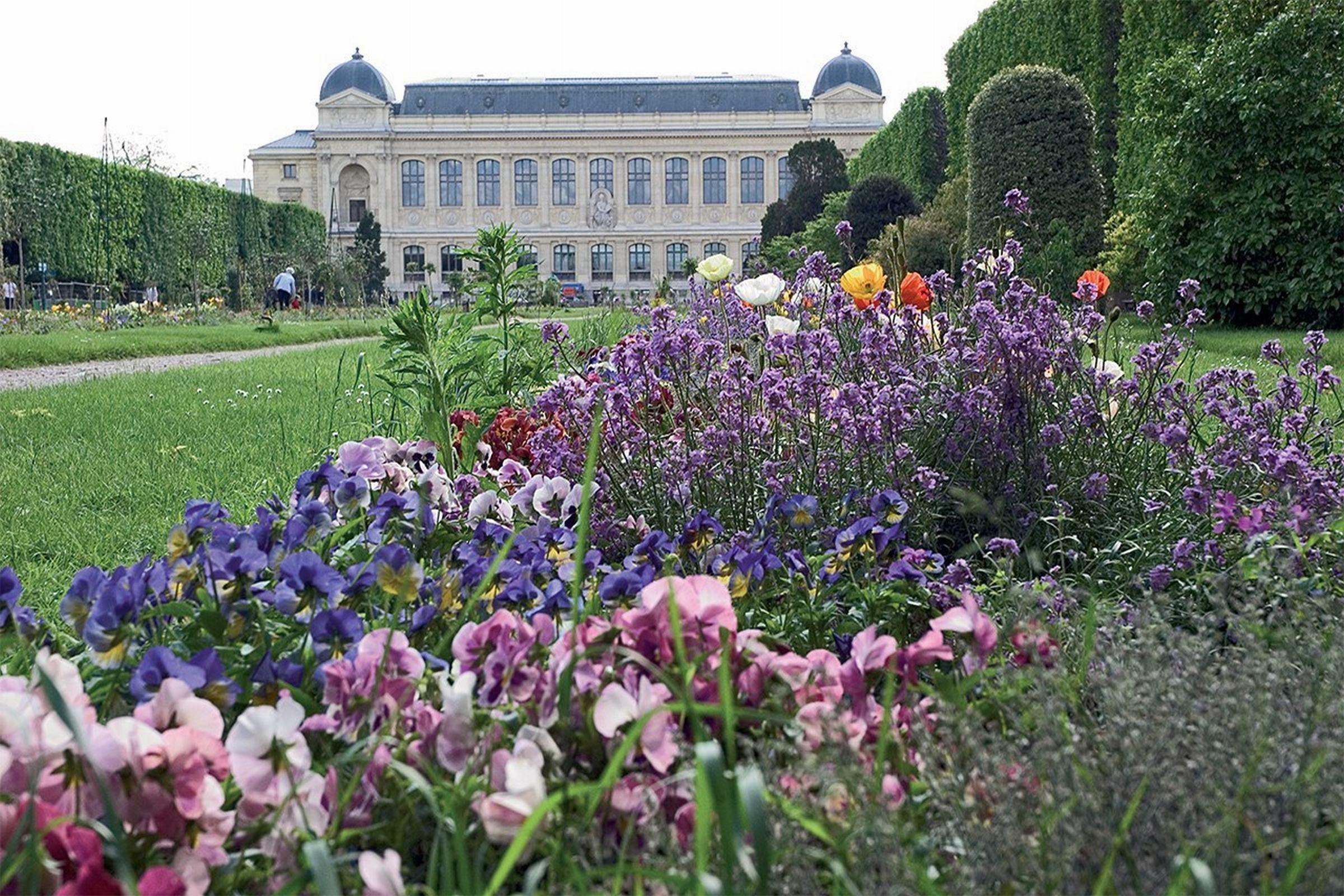 Libertel Austerlitz Jardin Des Plantes Hotel París